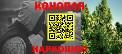 прущие грибы Малоярославец