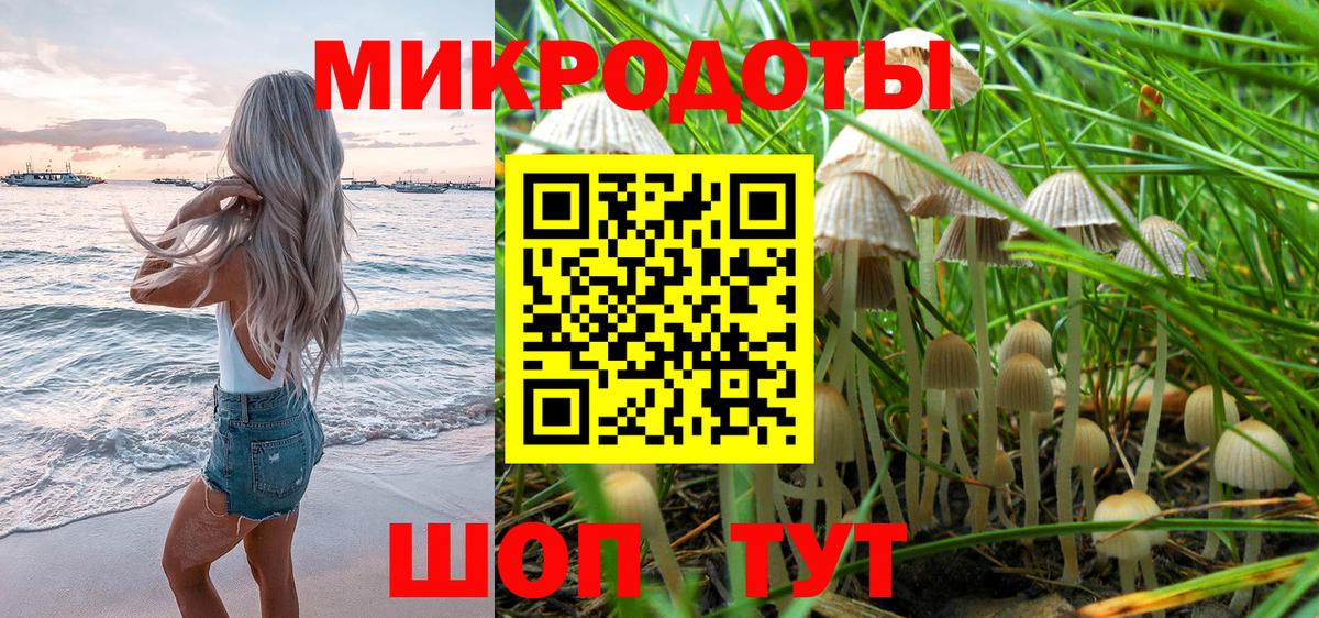 Галлюциногенные грибы мухоморы Волжск